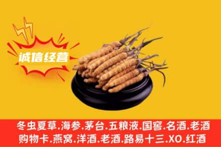 丽水回收冬虫夏草
